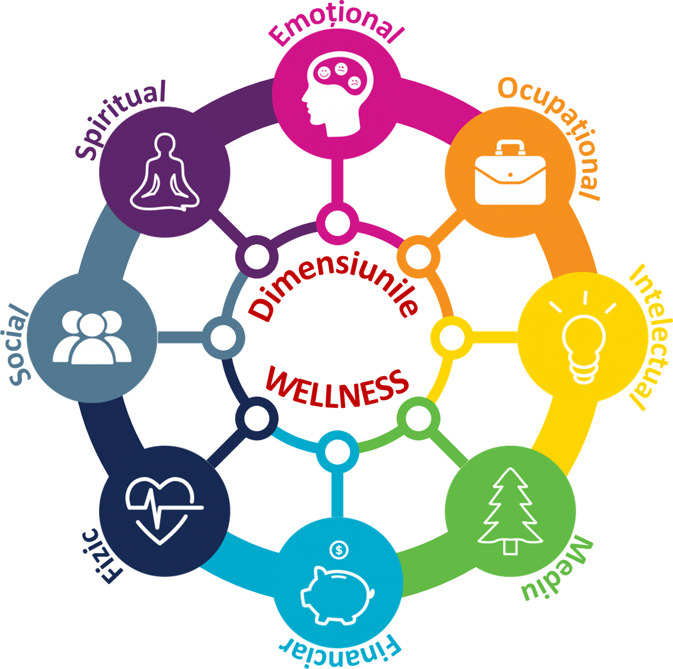 Imagine: Roata cu cele 8 dimensiuni ale wellness-ului