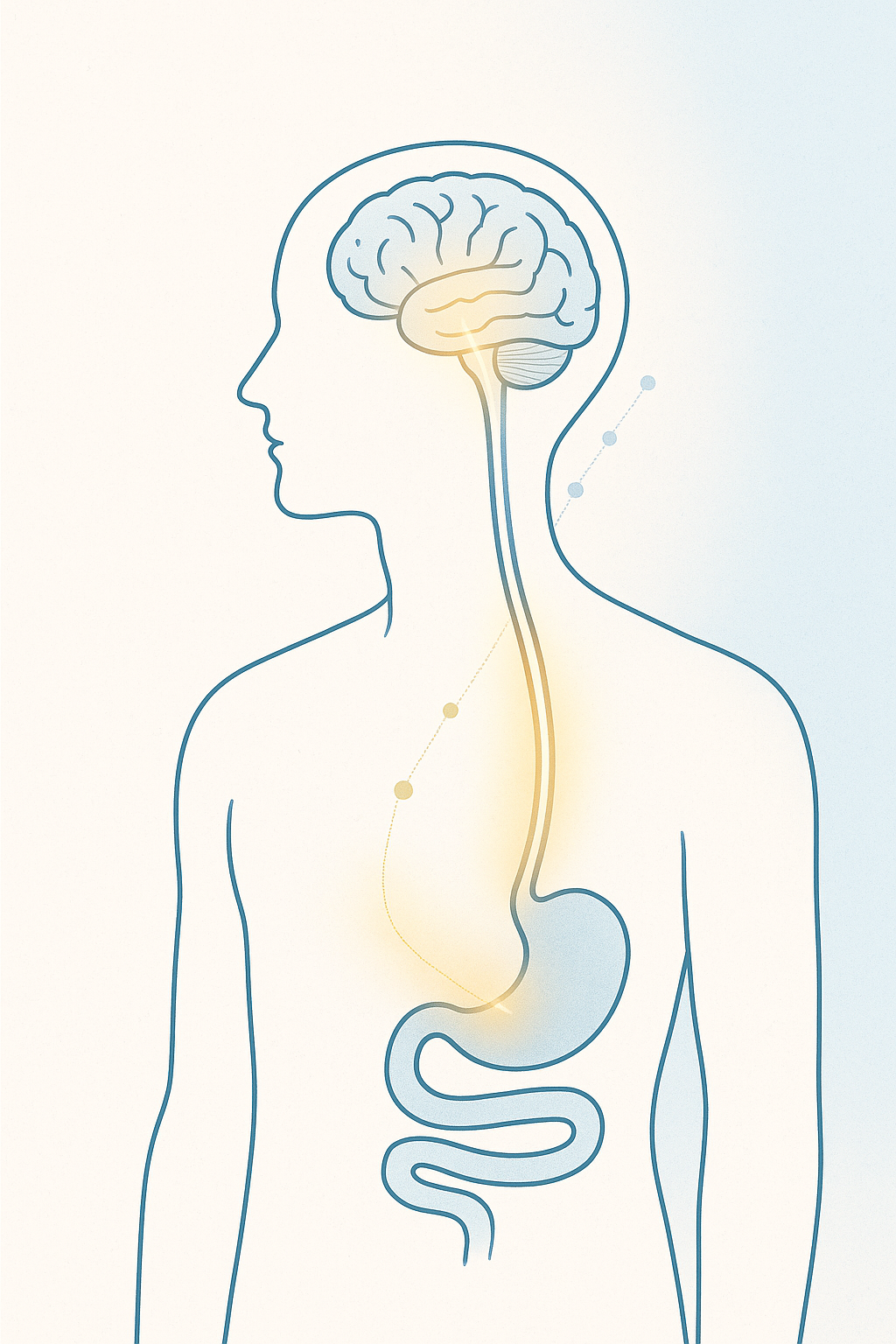 Concept vizual NutriSib